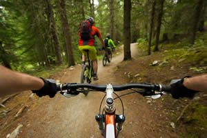 Bicycle Recreation, Mountain, Road & Touring Careers